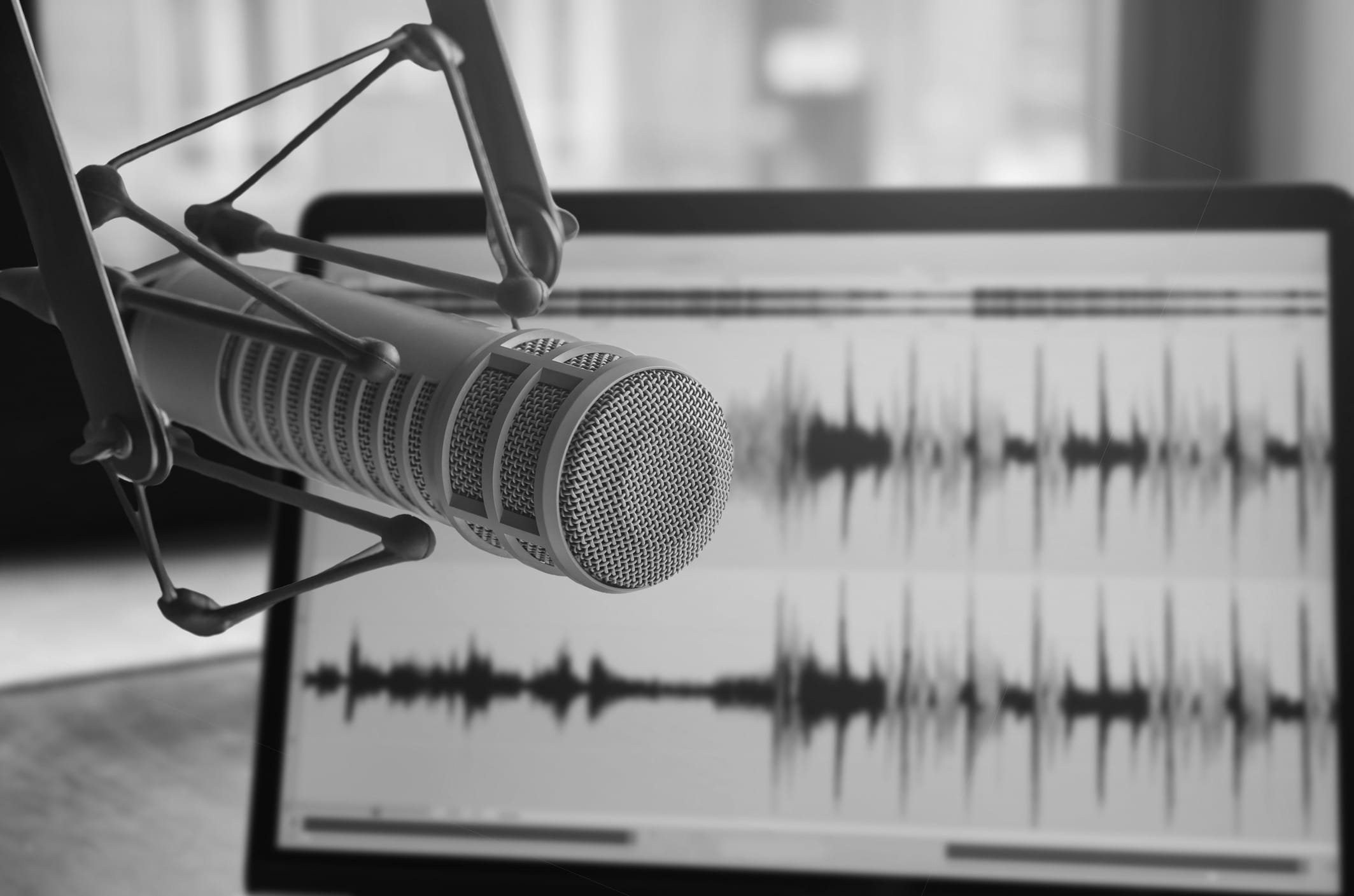 Podcast Mic with Monitor bw